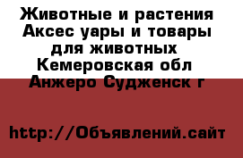 Животные и растения Аксесcуары и товары для животных. Кемеровская обл.,Анжеро-Судженск г.